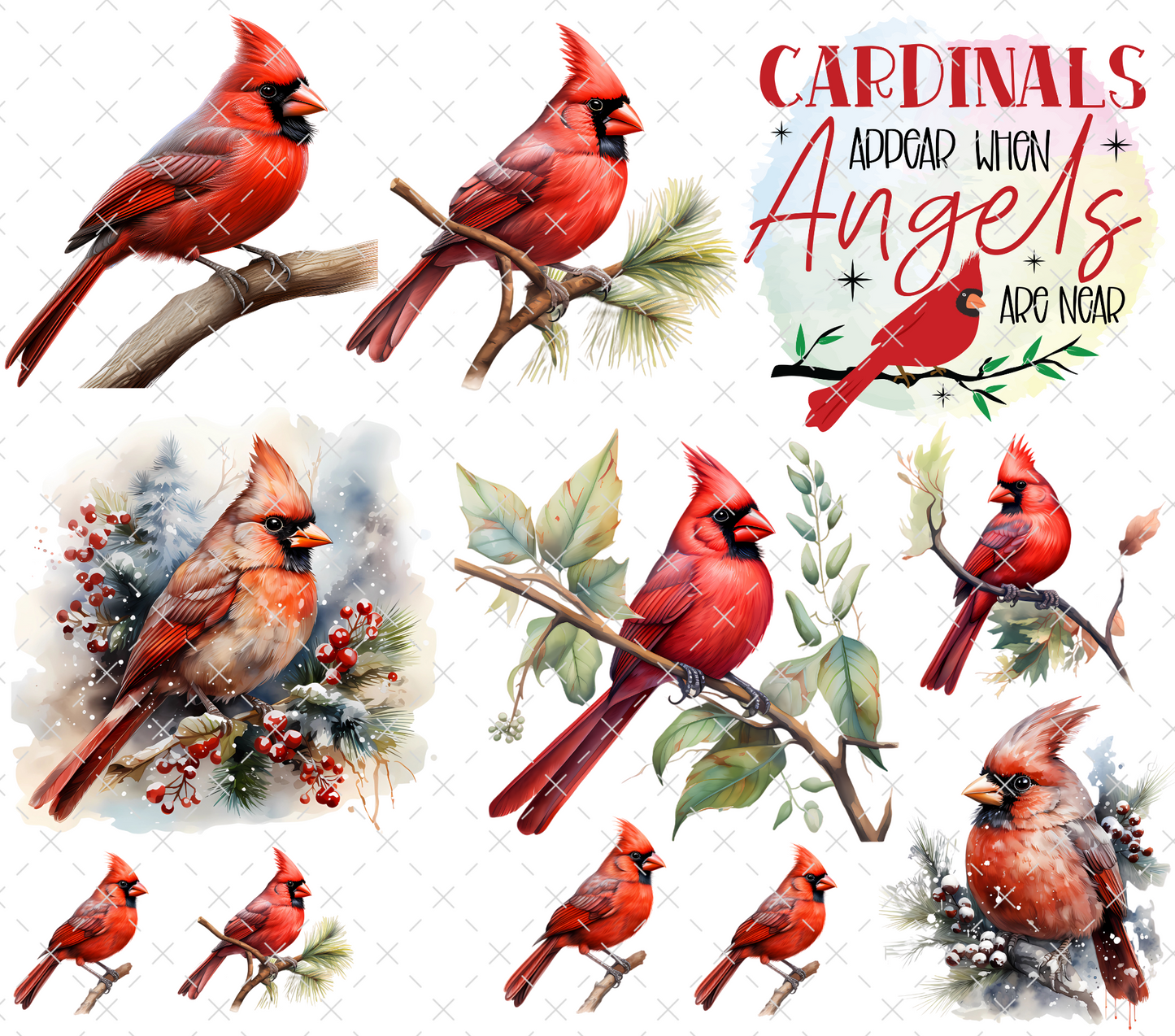 #20-144 CARDINALS ** small transparent spot on wording