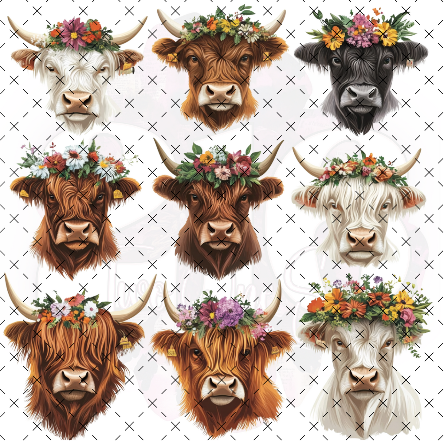 237 HIGHLAND COWS II