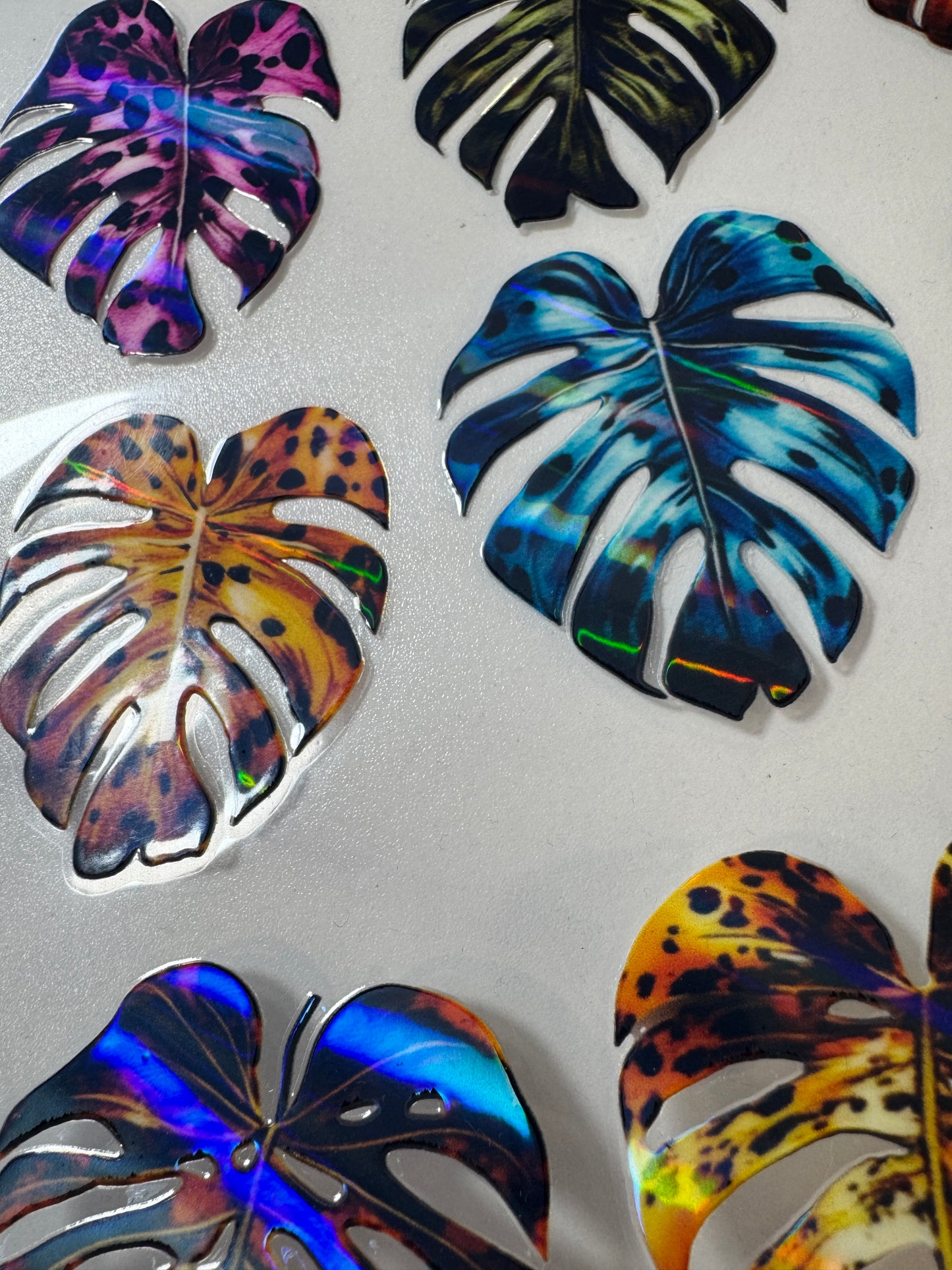 296 LARGE MONSTERA HOLO