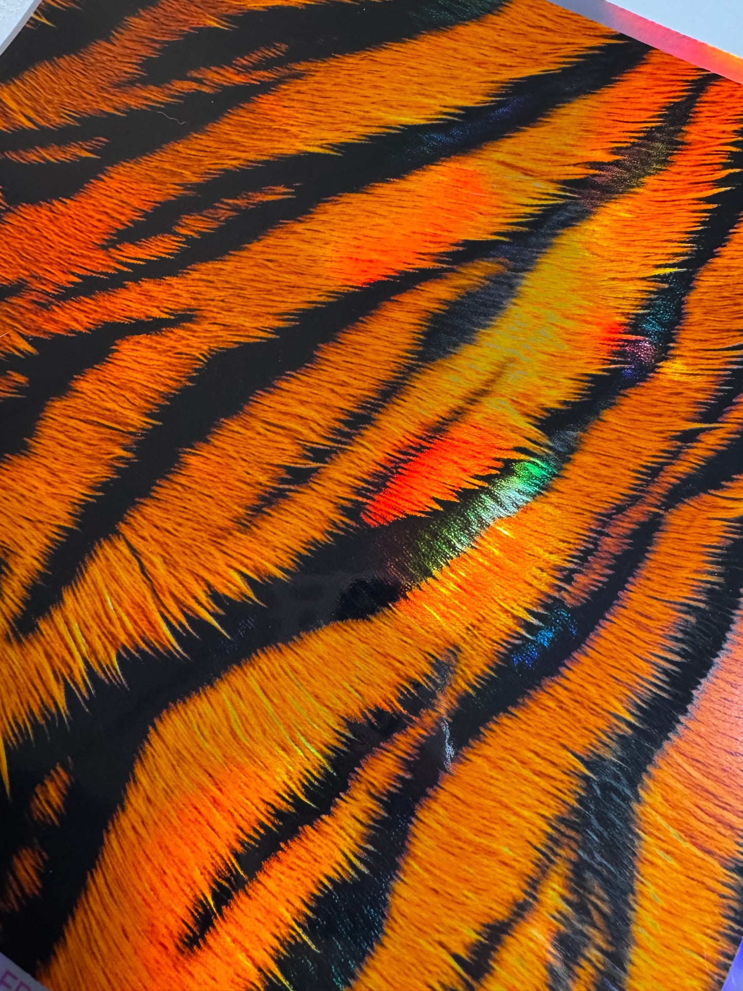 v549 HOLOGRAPHIC TIGER