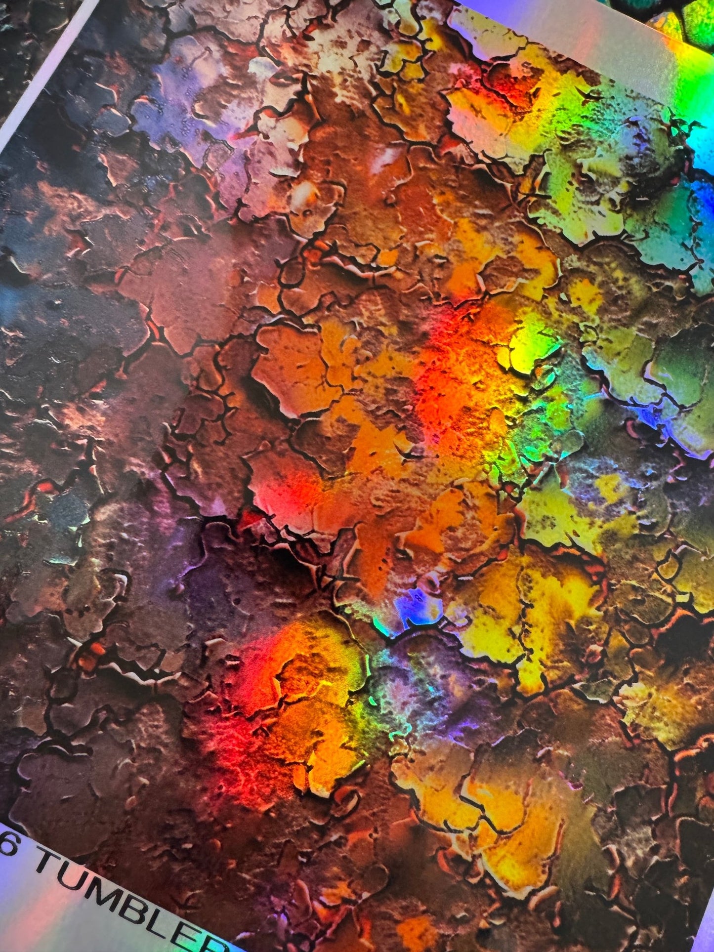 HOLO V637 10X10 - 216 Tumblers