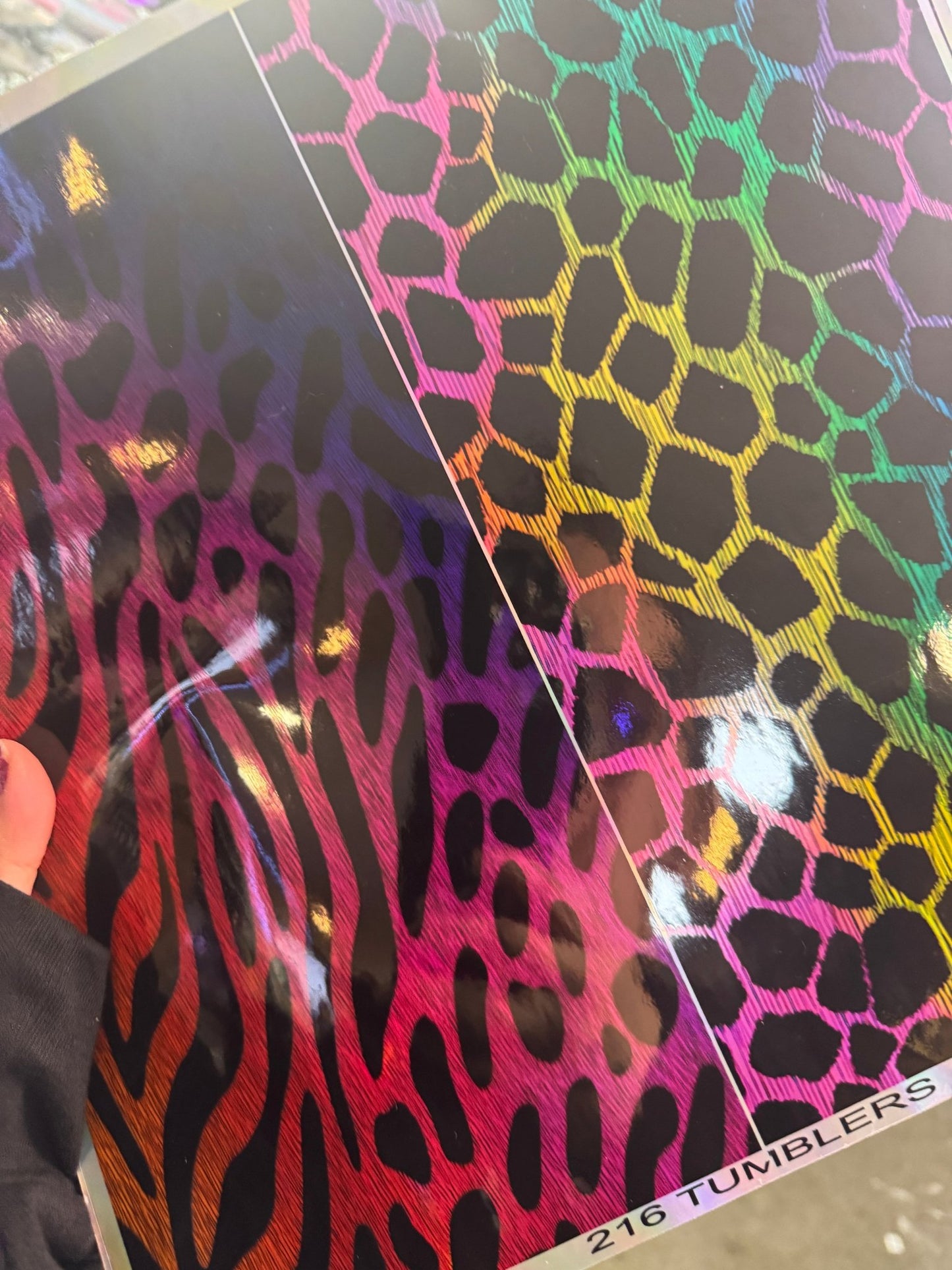 HOLOGRAPHIC ARCHIVE - MM 116 - 216 Tumblers