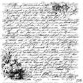 1009 DECO WORD SCRIPT - 216 Tumblers