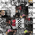 1034 MIXED MEDIA MONSTERA - 216 Tumblers