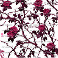 1099 PINK THORNED ROSES - 216 Tumblers