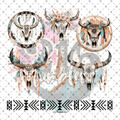 10X10 - 144 Western Bull - 216 Tumblers
