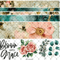 10X10 - 189 BLOOM WITH GRACE BANDS - 216 Tumblers