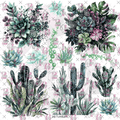 10X10 - 199 THE FLORALS OF OZ - 216 Tumblers