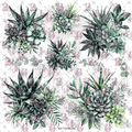 10X10 - 200 PRICKLY OZ - 216 Tumblers