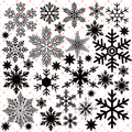 10X10 OUTLINES 13 SNOWFLAKES - 216 Tumblers