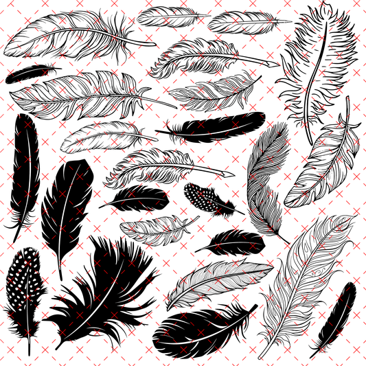 10X10 OUTLINES 15 FEATHERS - 216 Tumblers
