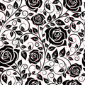 10X10 OUTLINES 17 TOOLED ROSE - 216 Tumblers