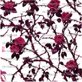 1099 PINK THORNED ROSES