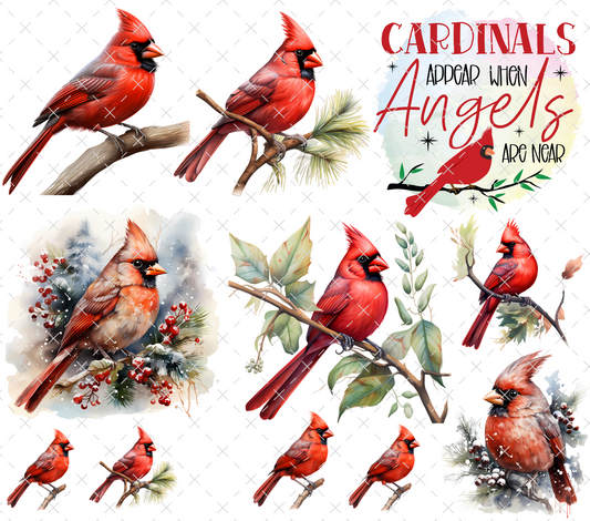 #20-144 CARDINALS ** small transparent spot on wording