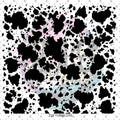 173 BLACK COWHIDE - 216 Tumblers