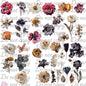 567 DRIED FLOWERS II