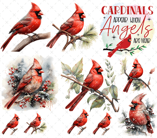 20 - 144 CARDINALS ** small transparent spot on wording - 216 Tumblers