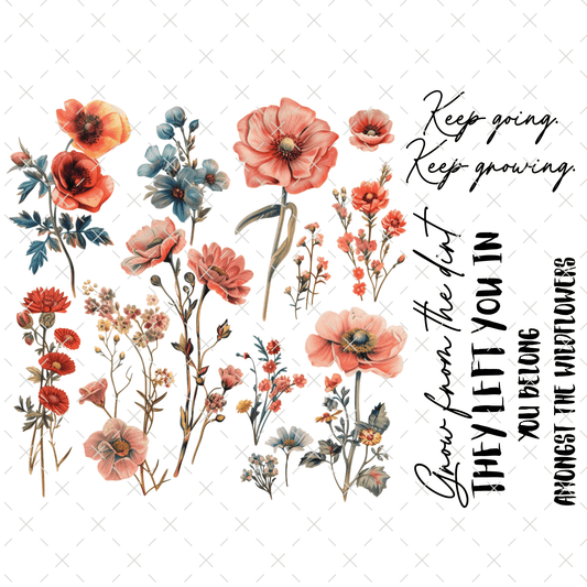 20 - 155 WILD POPPIES - 216 Tumblers