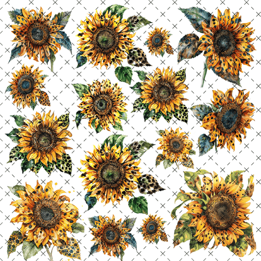 20 - 167 SUNFLOWER LEOPARD SHEET - 216 Tumblers