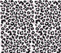 20 - 29 Mini Jagged Leopard - 216 Tumblers