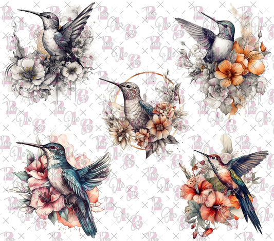 20 - 50 9.3x8.2 Hummingbirds - 216 Tumblers