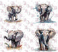 #20-35 Elephants