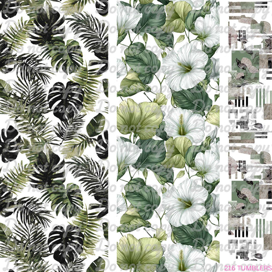 685 MONSTERA PEEK A BOOS