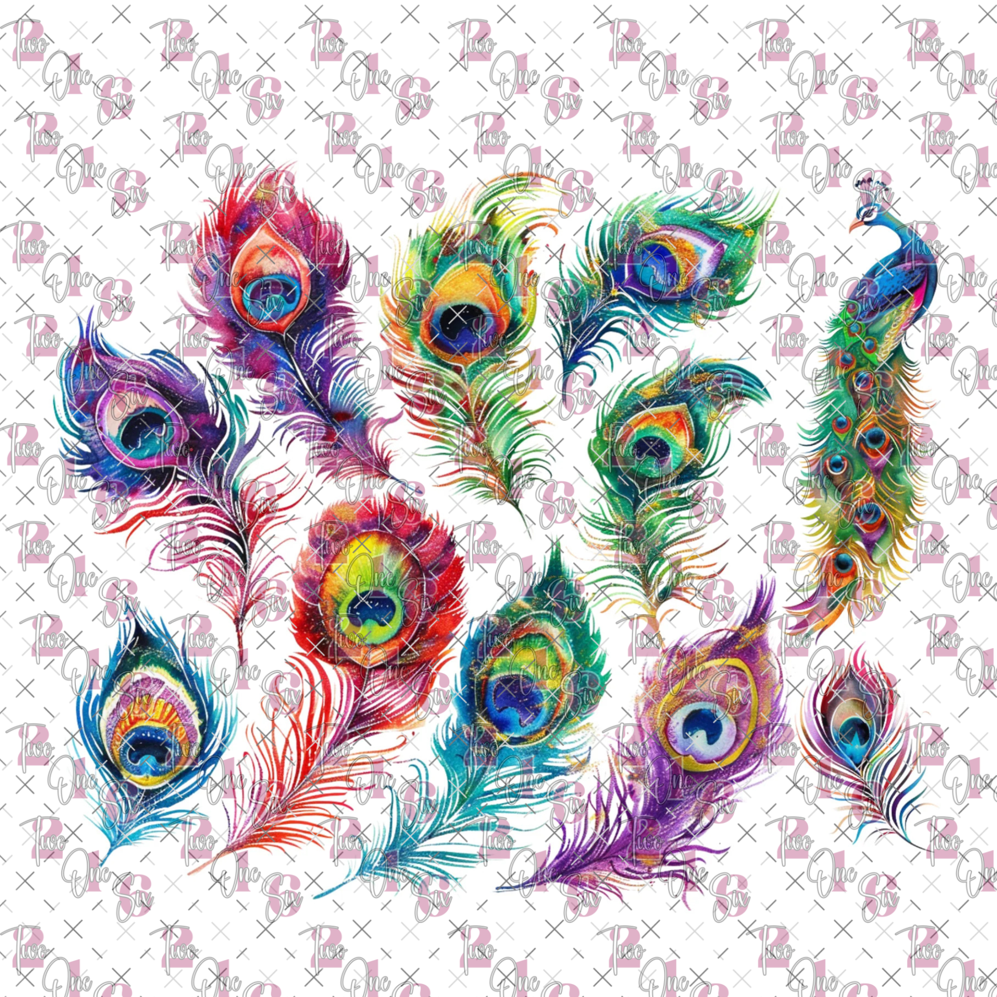#20-116 Colorful Peacock Feathers