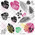 222 - COLORFUL MONSTERA W/OFFSETS - 216 Tumblers
