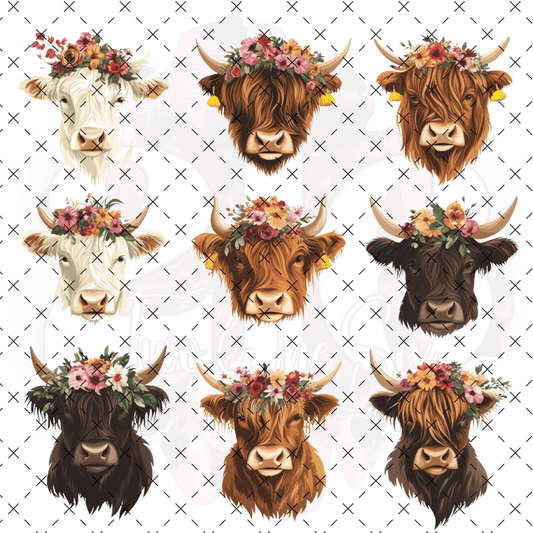 236 HIGHLAND COW HEADS - 216 Tumblers