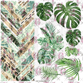 253 BRAIDED MONSTERA - 216 Tumblers