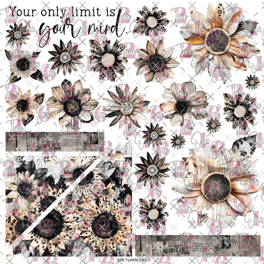 271 FLATTERED - 216 Tumblers