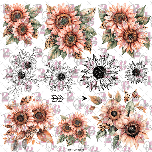 282 OG ENERGY - 216 Tumblers