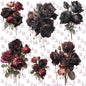 504 SEEDED ROMANCE