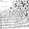1255 MUSIC NOTES BUTTERFLIES