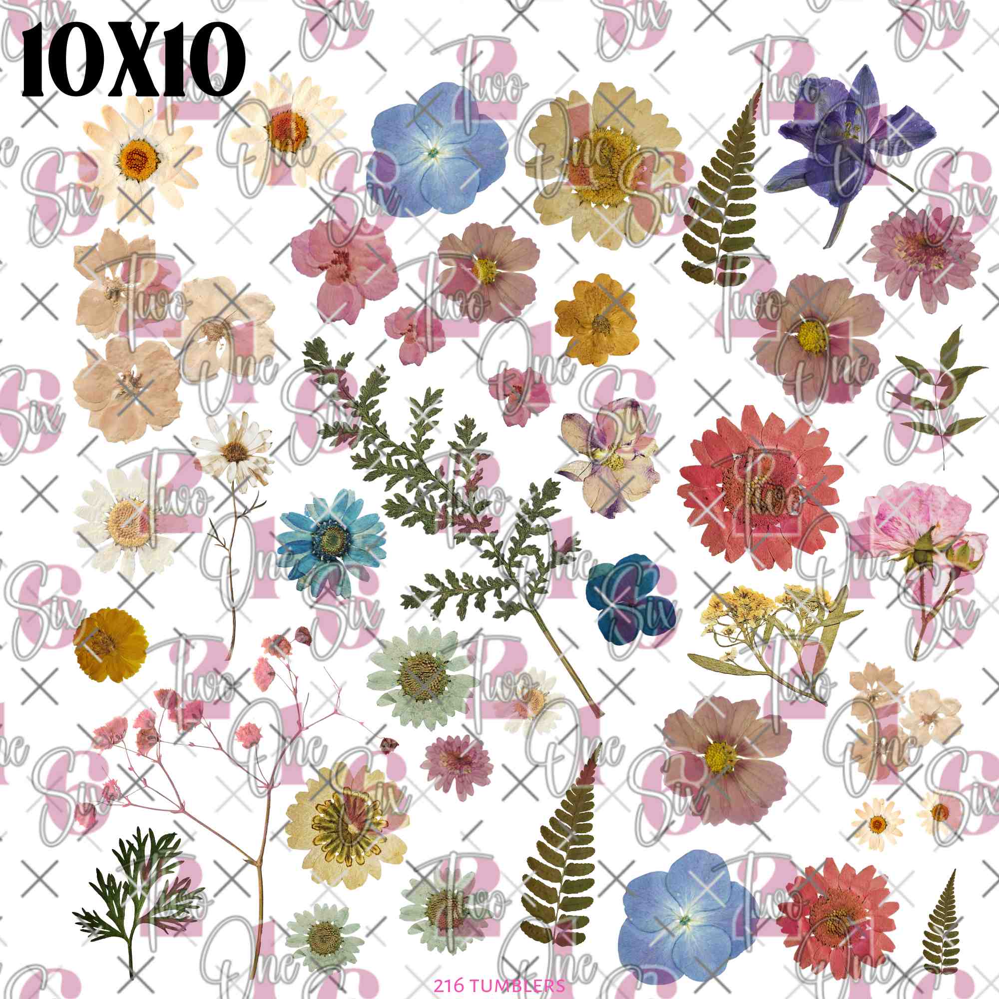 431 DRIED FLOWERS