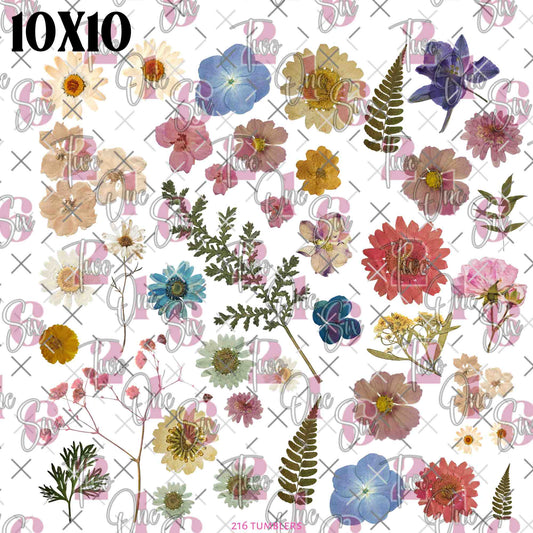 431 DRIED FLOWERS - 216 Tumblers