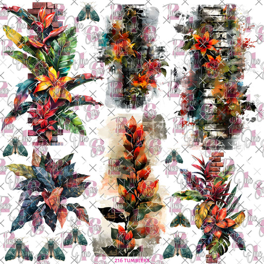 476 TROPICS - 216 Tumblers