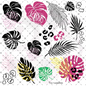 222 - COLORFUL MONSTERA W/OFFSETS