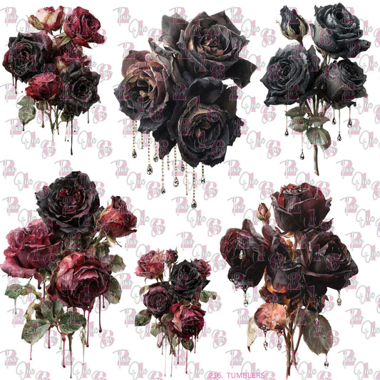 504 SEEDED ROMANCE - 216 Tumblers