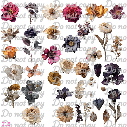 567 DRIED FLOWERS II - 216 Tumblers