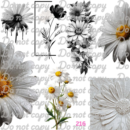 571 DAISY AND RAIN DROPS - 216 Tumblers