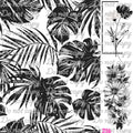 577 MONSTERA TRANSPARENCY - 216 Tumblers