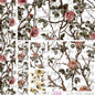 585 THORNY FLOWERS - PEEK A BOO STYLE (MIX)