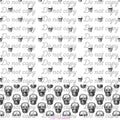 627 MINI SKULLS BIRTHDAY DROP - 216 Tumblers