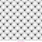 629 SPIDER WEBS
