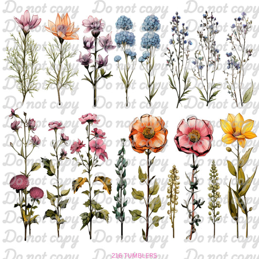 673 DRIED FLOWER STRANDS - 216 Tumblers