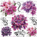 714 PINK/PURPLE BIG FLOWERS - 216 Tumblers