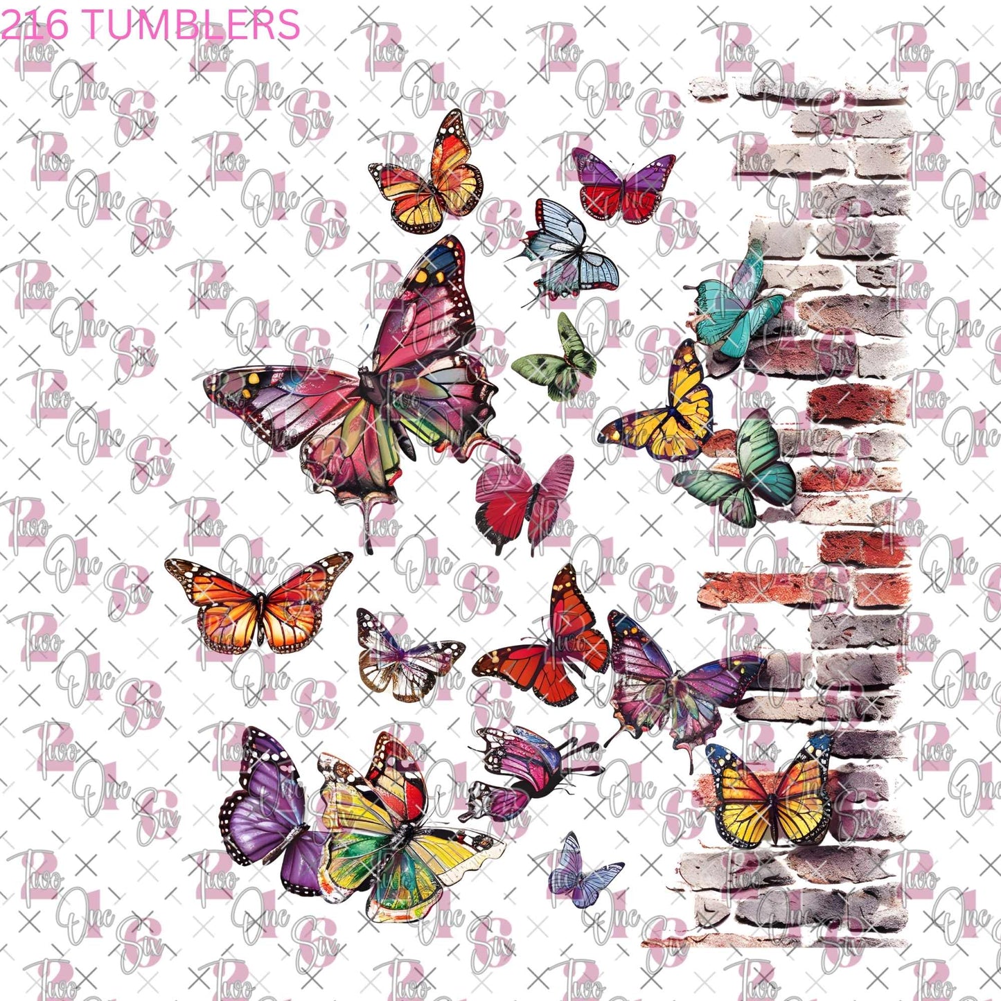 7X7 20 - 216 Tumblers