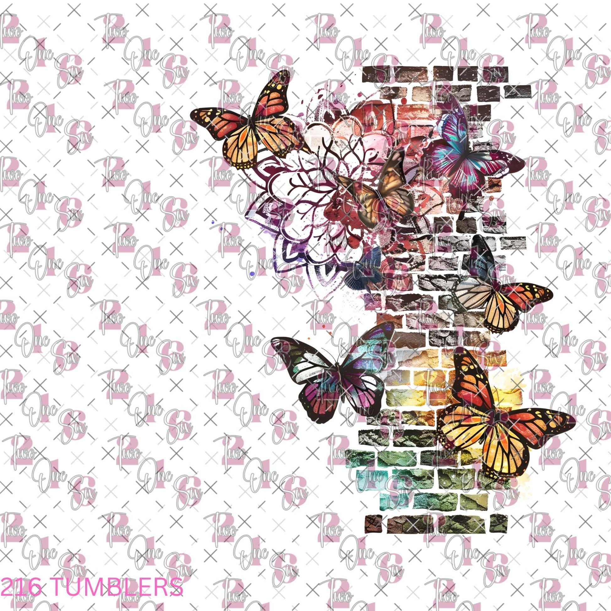 7X7 21 - 216 Tumblers